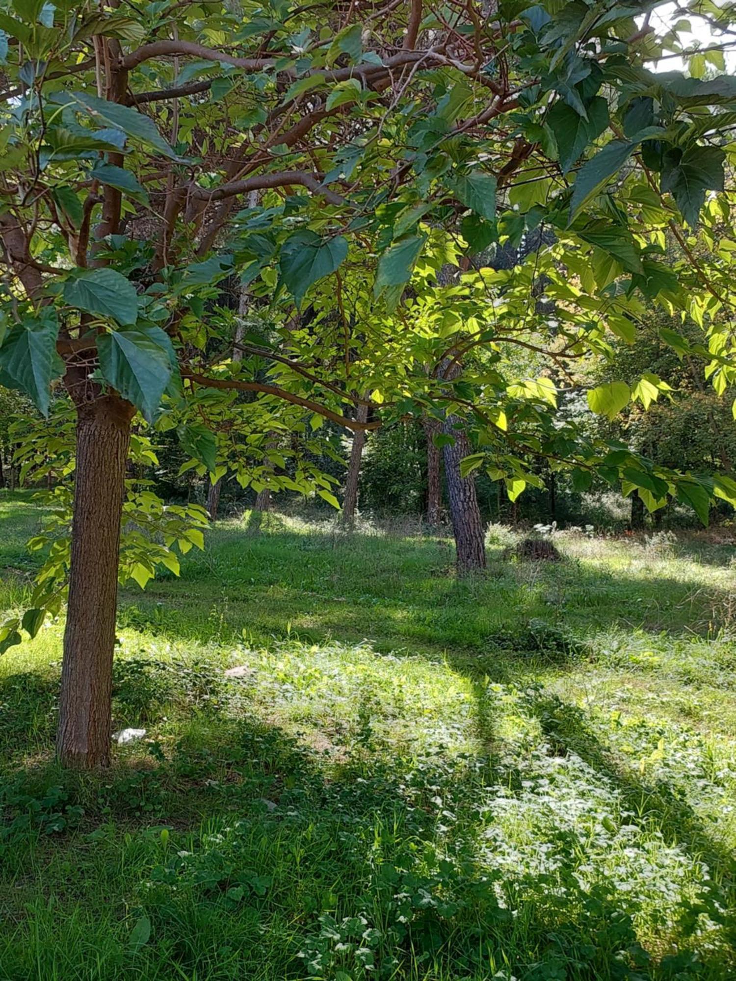 A'Studio Tirana Extérieur photo
